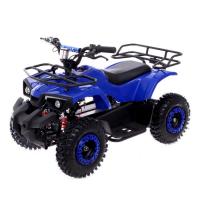 Квадроцикл электрический ATV M6 - 800W, цвет синий