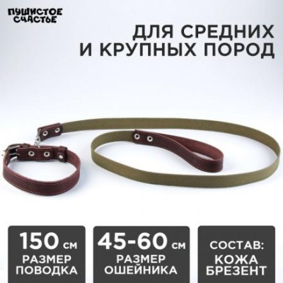 Комплект : ошейник (45-60х2.5 см) кожаный и поводок (150х2.5 см) брезентовый