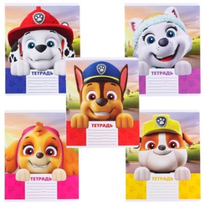 Тетрадь 12 листов, 5 видов МИКС, линейка, Paw Patrol