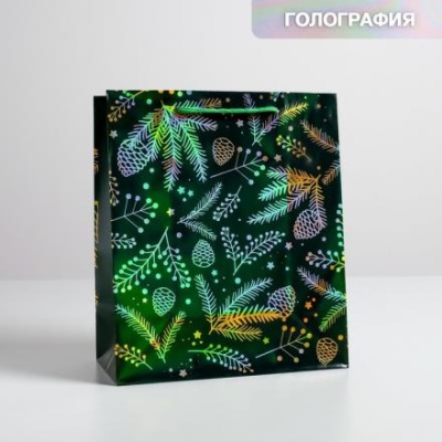 Пакет голография вертикальный «Шишки», ML 23 × 27 × 11,5 см