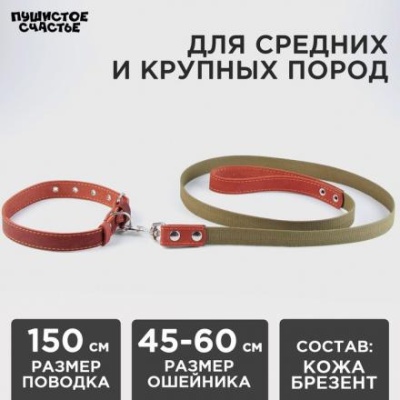 Комплект : ошейник (45-60х2.5 см) кожаный и поводок (150х2.5 см) брезентовый