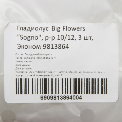 Гладиолус Big Flowers "Sogno", р-р 10/12, 3 шт, Эконом