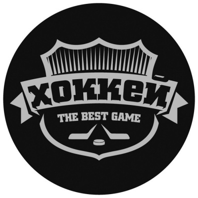 Шайба хоккейная взрослая Best game