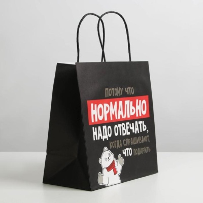 Пакет подарочный «Нормально надо отвечать», 22 × 22 × 11 см