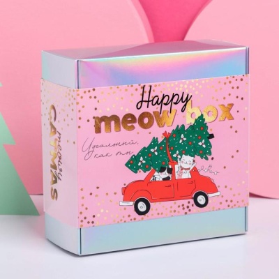 Зарядное устройство, попсокет, наушники, флешка и штекер «Happy meow box», набор