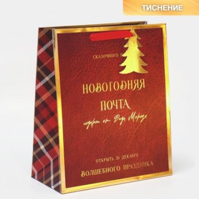 Пакет ламинированный вертикальный «Новогодняя Почта», 25,4 × 30,5 ×12,7 см