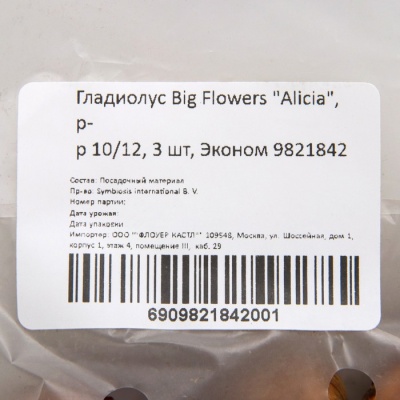 Гладиолус Big Flowers "Alicia", р-р 10/12, 3 шт, Эконом