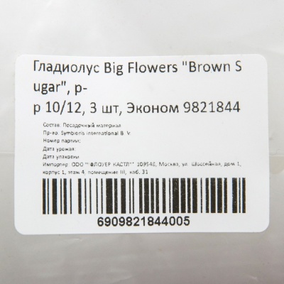 Гладиолус Big Flowers "Brown Sugar", р-р 10/12, 3 шт, Эконом