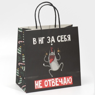 Пакет подарочный «Вообще не отвечаю», 22 × 22 × 11 см