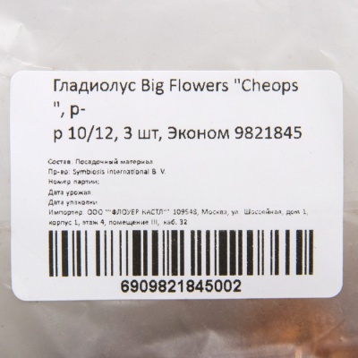 Гладиолус Big Flowers "Cheops", р-р 10/12, 3 шт, Эконом