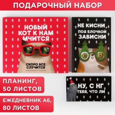 Набор «Новый кот к нам мчится»: ежедневник А5, 80 листов и планинг 50 листов