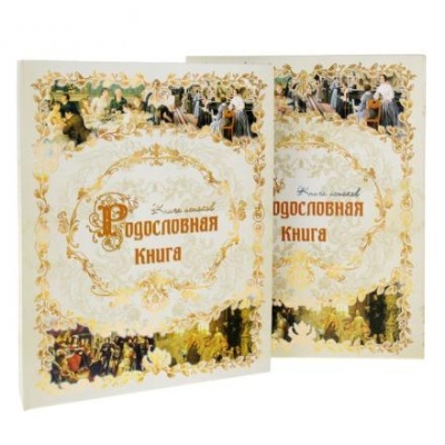 Родословная книга «Книга истоков», 89 листов, 25 х 32 см