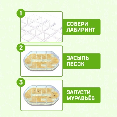 Набор для опытов «Лабиринт для муравьёв»