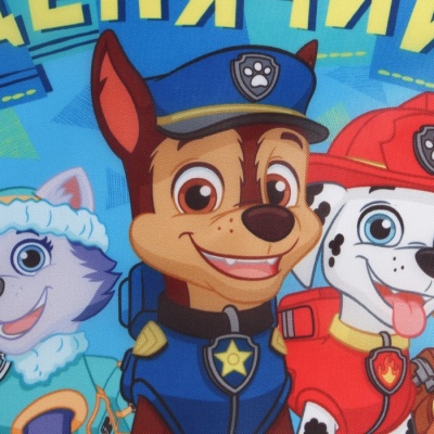 Фартук с нарукавниками детский PAW PATROL «Щенячий Патруль», 49х39 см