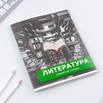 Предметная тетрадь, 48 листов, «ПРЕДМЕТЫ», со справочными материалами «Литература», обложка мелованный картон 230 гр., внутренний блок в линейку 80 гр., белизна до 80%, блок №2.