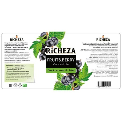 Концентрат RiCHEZA «Черная Смородина - Мята», 1000 г