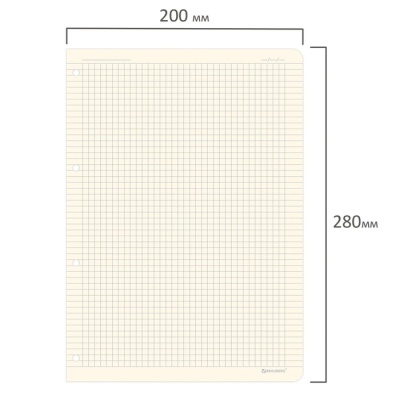 Сменный блок для тетради на кольцах БОЛЬШОЙ ФОРМАТ А4 120 л, BRAUBERG, 70г/м2, крем 404517