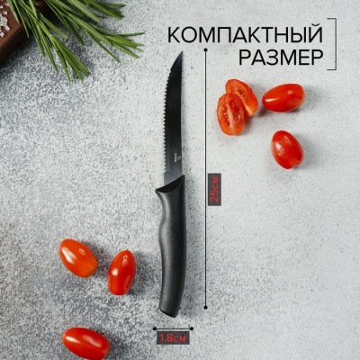 Нож Доляна «Грайм» для мяса, зубчатое лезвие 11,5 см, цвет чёрный