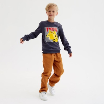 Свитшот для мальчика MINAKU: Casual Collection KIDS цвет графит, рост 98