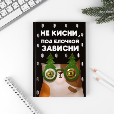 Набор «Новый кот к нам мчится»: ежедневник А5, 80 листов и планинг 50 листов