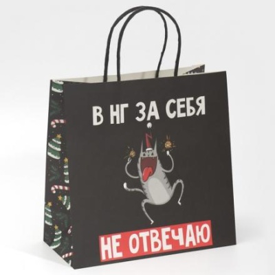 Пакет подарочный «Вообще не отвечаю», 22 × 22 × 11 см